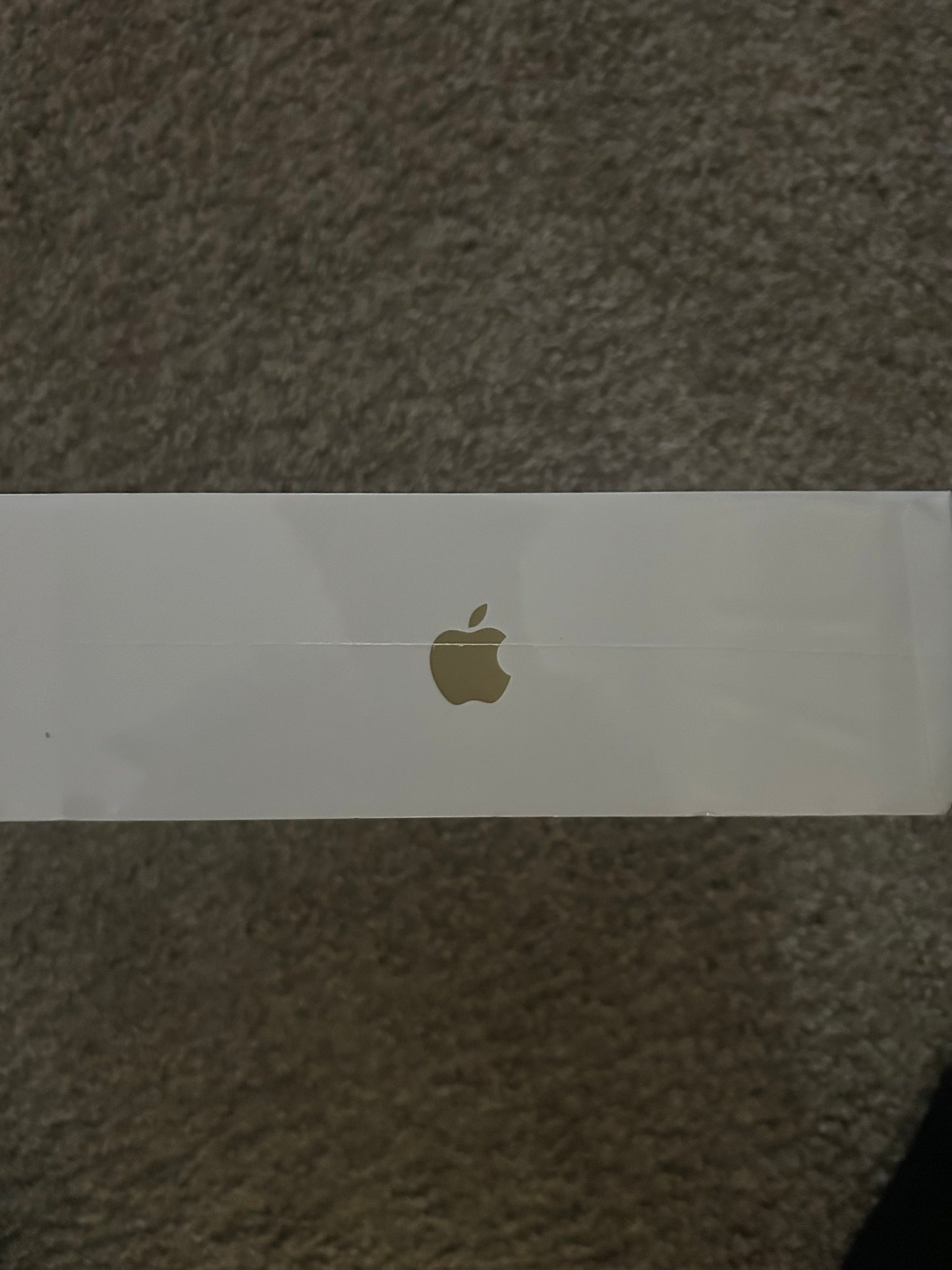 Airpods Max